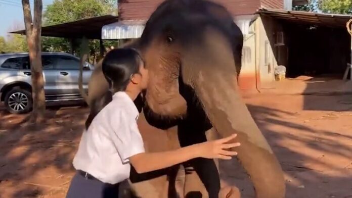 อาลัย