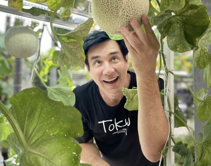 วิลลี่ เซฟลูกชาย