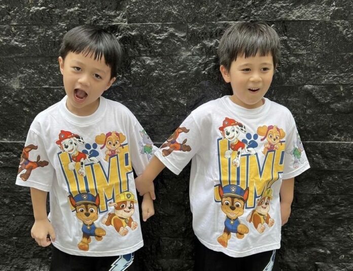 ชมพู่ อารยา ปลื้ม