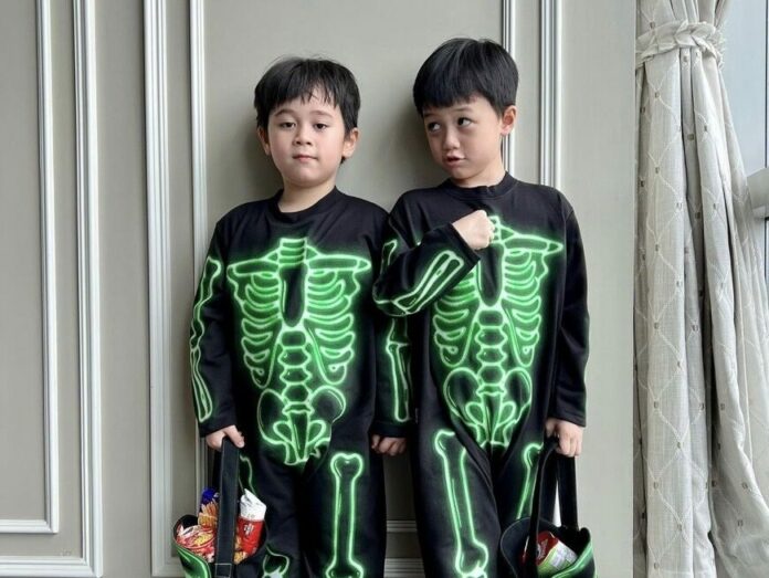 ชมพู่ อารยา ปลื้ม