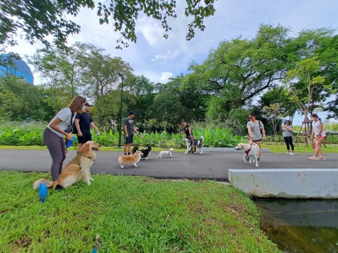 สวนเบญจกิติ เปิดพื้นที่ Dog Park