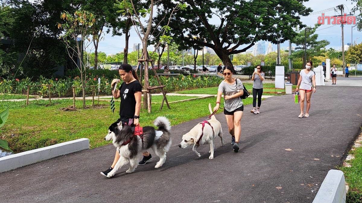 โฆษกรัฐบาล ปลื้ม Dog Park สวนเบญจกิติ กระแสตอบรับดี ชูนโยบาย 'บิ๊กตู่'