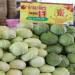 ตลาดไท เปิดอาณาจักรผักและวัตถุดิบคุณภาพ ตอบรับตลาดช่วงเทศกาลอาหารเจ  