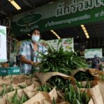 ตลาดไท เปิดอาณาจักรผักและวัตถุดิบคุณภาพ ตอบรับตลาดช่วงเทศกาลอาหารเจ  