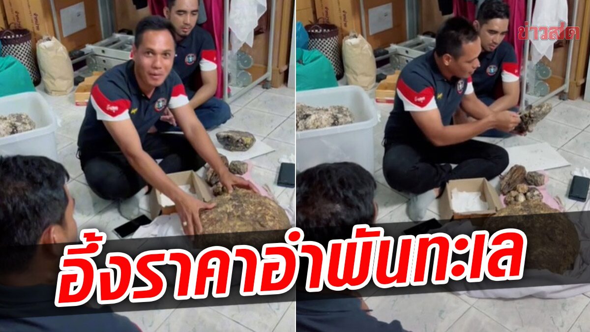 รู้ราคาแล้วอึ้ง! อำพันทะเล หนัก 11 กิโลกรัม 'บังลุค' แนะวิธีตรวจสอบก้อนไหนใช้ได้แล้ว