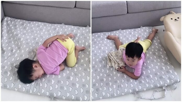 เอ็นดู น้องโรฮา