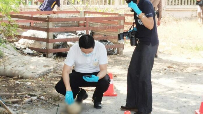 กะโหลกผี