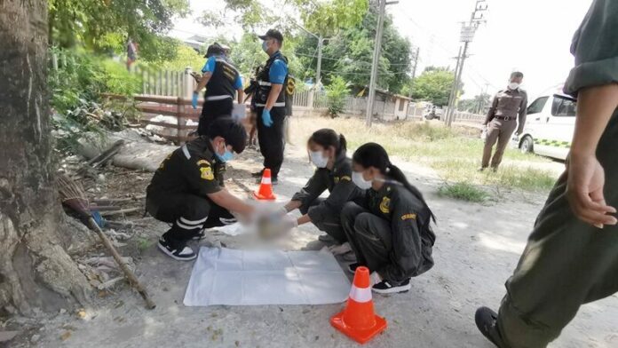 ผงะหัวผี
