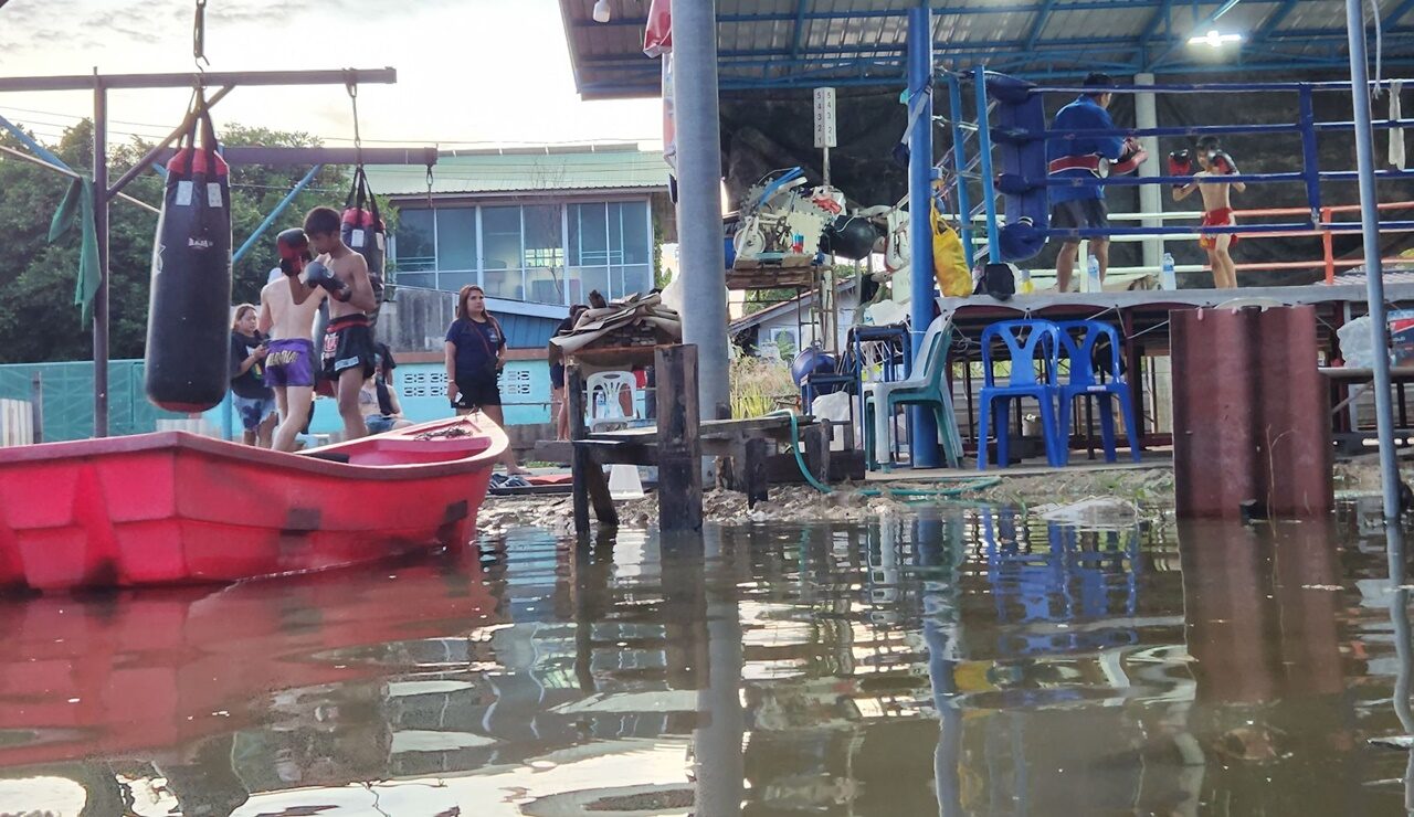 นักมวย