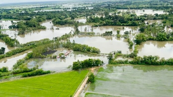ทุ่งนา