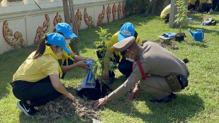 ตำรวจ