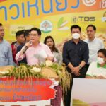 ชาวเชียงใหม่แห่รับ “จุรินทร์” ทำสัญญาซื้อขายข้าวเหนียวล่วงหน้า ดันราคาพุ่ง 12,000 บาท/ตัน 
