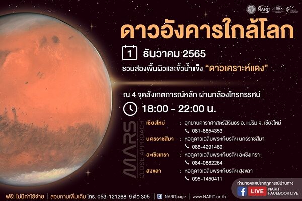 ดาว