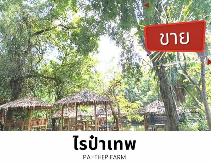 ขาย