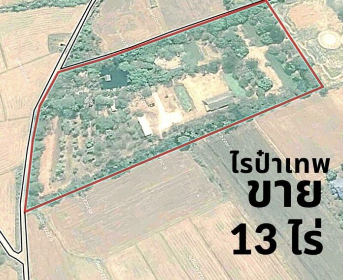13ไร่