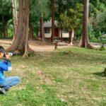 อุทยานฯตะรุเตา ชวนชมนกแก๊ก สัตว์ปีกประจำถิ่นเกาะอาดัง พร้อมอวดโฉมนักท่องเที่ยว