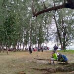 อุทยานฯตะรุเตา ชวนชมนกแก๊ก สัตว์ปีกประจำถิ่นเกาะอาดัง พร้อมอวดโฉมนักท่องเที่ยว
