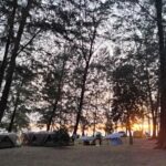 อุทยานฯตะรุเตา ชวนชมนกแก๊ก สัตว์ปีกประจำถิ่นเกาะอาดัง พร้อมอวดโฉมนักท่องเที่ยว