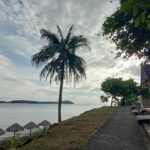 อุทยานฯตะรุเตา ชวนชมนกแก๊ก สัตว์ปีกประจำถิ่นเกาะอาดัง พร้อมอวดโฉมนักท่องเที่ยว