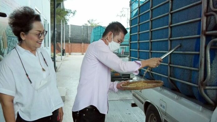 แทงข้าว