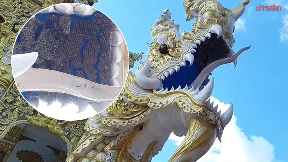 หวยดัง , หวยดังงวดนี้ , หวยเด็ดๆ เข้าทุกงวด , เลขอั้น เจ้ามือ ไม่รับ งวดนี้ , เลขเด็ดแม่นๆ , เลขเด็ดอาจารย์ดังเข้าทุกงวด , เลขเด็ดไทยรัฐ , เลขเด็ดๆวันนี้ , เลขเด็ดงวดนี้ แม่น้ำหนึ่ง