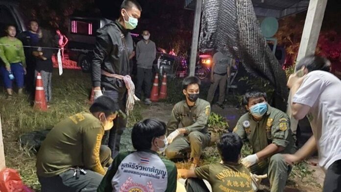 ชันสูตร