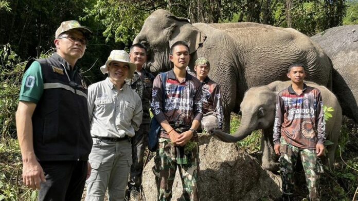แม่รับ