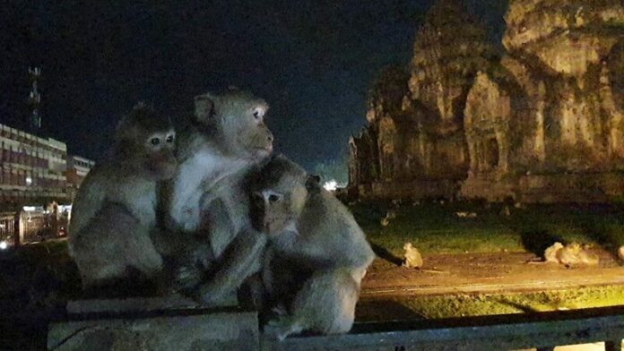 กลัว