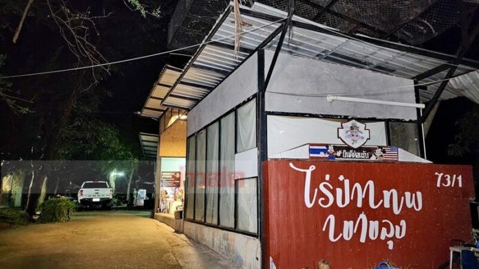ไร่ป๋า