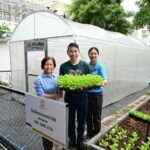 เจียไต๋จัดกิจกรรม “เจียไต๋ โซเชียล เดย์” รวมพลังพนักงานทั่วประเทศปลูกความยั่งยืนให้ชุมชน