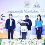 “บุญสงค์” เลขาธิการ สปส. พร้อมผู้บริหาร เจ้าหน้าที่ เดิน “ตลาดหัวมุม ลาดพร้าว” จัดกิจกรรมความรู้งานประกันสังคม “ผู้ประกอบอาชีพอิสระสุขใจให้ประกันสังคม ม.40 ดูแล”