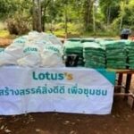 โลตัส จับมือมูลนิธิเขาใหญ่ นำพนักงานและเยาวชนจิตอาสา 