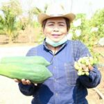 อธิบดี พช.ปลุกพลังภาครัฐ-ประชาชน น้อมนำแนวพระราชดำริของสมเด็จพระกนิษฐาธิราชเจ้า กรมสมเด็จพระเทพรัตนราชสุดาฯ สยามบรมราชกุมารี สู่ปฏิบัติการปลูกผักสวนครัว 