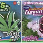 พาส่องไฮไลต์ 9 ร้านเด็ด! SMEs Garden ที่งาน SMEs HERO FEST 10-12 ธ.ค. นี้ ที่สามย่านมิตรทาวน์ 