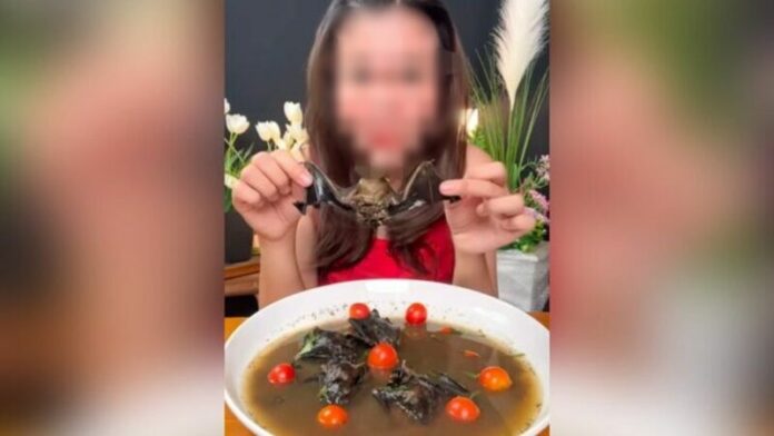 เปิบพิสดาล
