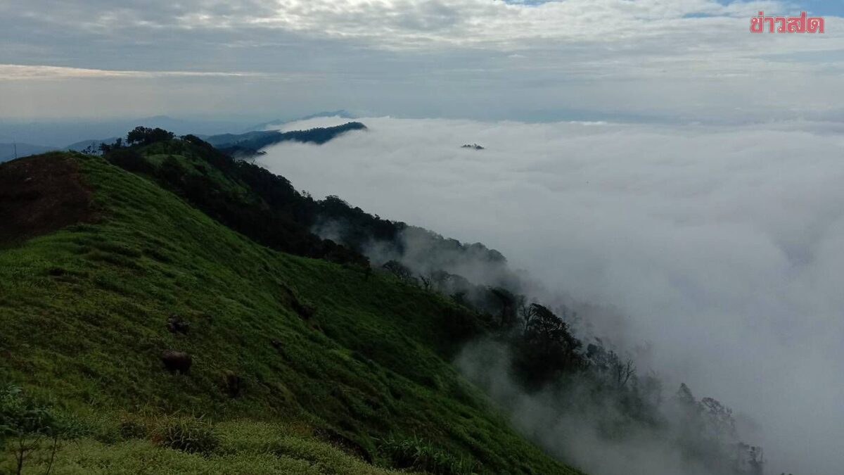 สภาพอากาศ