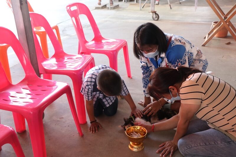 เลขเด็ด แมวมารวย ทายาทเจ้าโทนแมวตะเคียน วัดดังเมืองอ่างทอง เผย เลขธูปเสี่ยงทาย