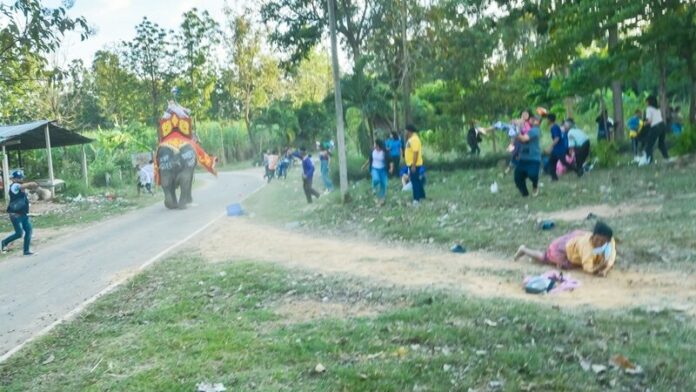 ช้างตกใจ