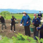 60 ปี กรมการพัฒนาชุมชน : สถาบันพระมหากษัตริย์กับกรมการพัฒนาชุมชน