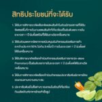 DITP เดินหน้าส่งเสริมอาหารไทยบุกตลาดต่างประเทศ เชิญชวนผู้ประกอบการผลิตภัณฑ์อาหารไทยสำเร็จรูป 