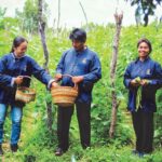 60 ปี กรมการพัฒนาชุมชน : สถาบันพระมหากษัตริย์กับกรมการพัฒนาชุมชน