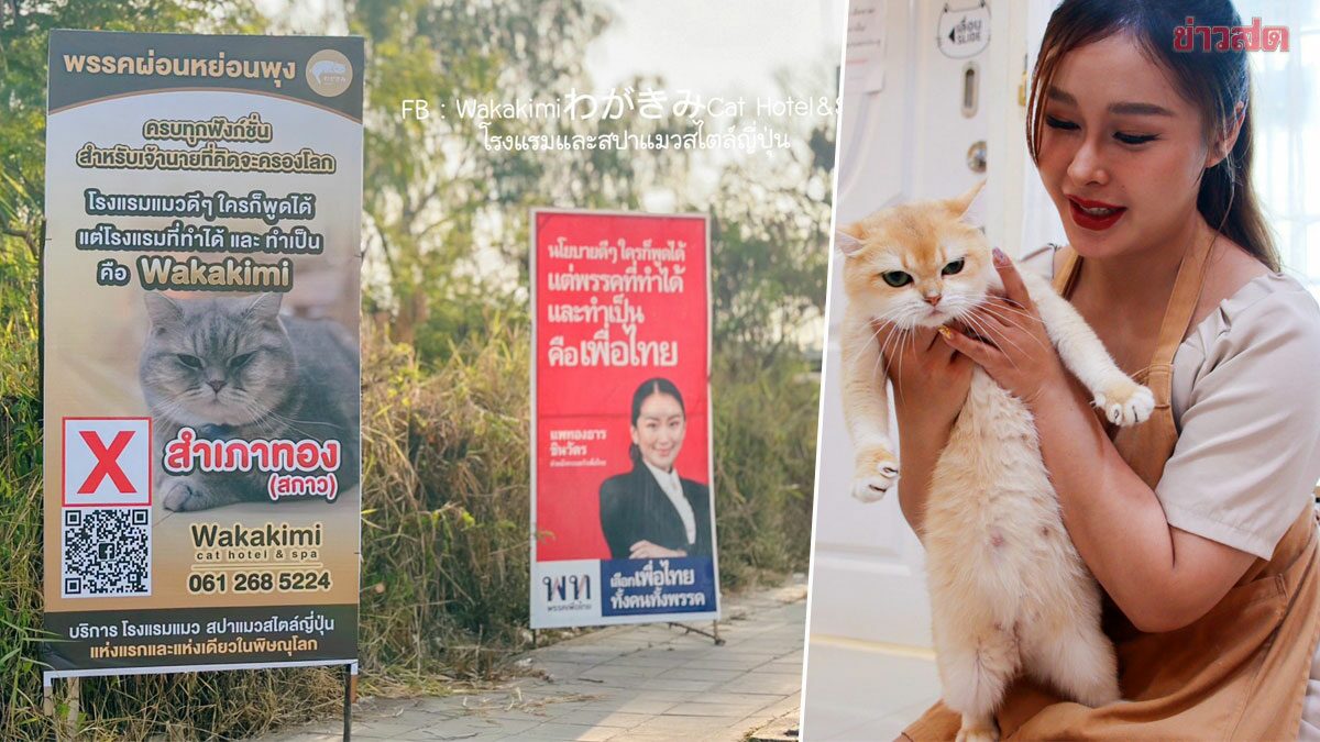 กระแสโซเชียล