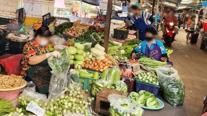 ผักแพง
