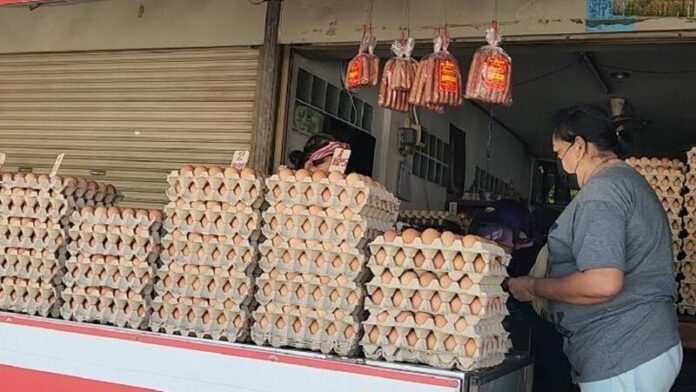 ไข่แพง