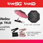ทรู 5G และทรูไอดี ปังไม่หยุด จัดเต็มให้ BLINKs เตรียมเฮที่บูธทรู 7 – 8 ม.ค.นี้