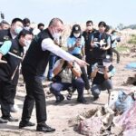 รัฐมนตรีเกษตรฯ เอาจริง ฝังทำลายหมูเถื่อนกว่า 7 แสน กก. มูลค่า 123 ล้านบาท มากสุดเป็นประวัติการณ์