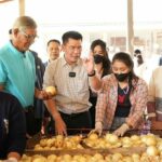 กรมการค้าภายใน จับมือเครือข่ายพันธมิตรขับเคลื่อน “อมก๋อยโมเดล” รับซื้อพืช 3 หัว ดันราคาสูงตั้งแต่ต้นฤดูกาล