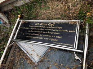 ต้นศรีมหาโพธิ์