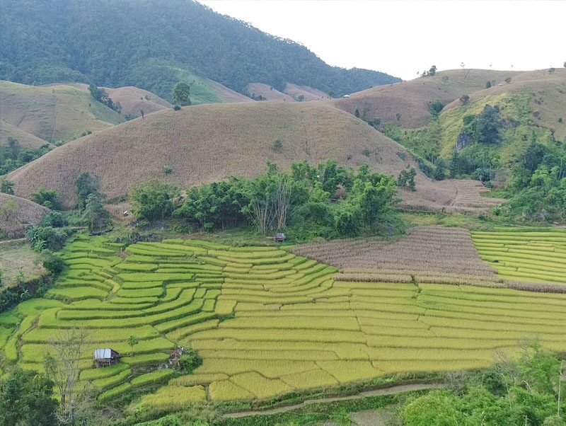 สดจากเยาวชน: วิถี “ปกาเกอะญอ”