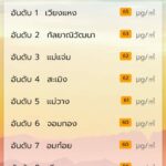 วิกฤตกลับมาแล้ว! ฝุ่นพิษ PM2.5 เกินค่ามาตรฐานปกคลุม 21 อำเภอ เริ่มพบจุดความร้อน